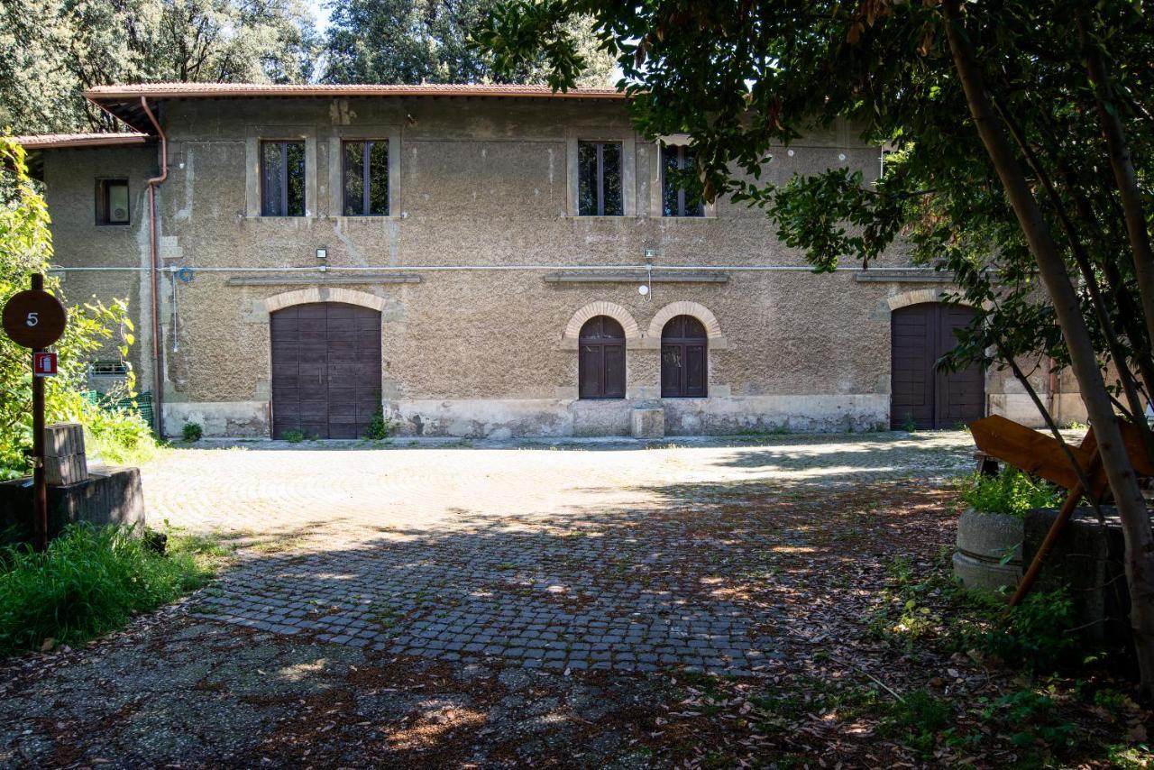 Beyond Colosseum Affittacamere